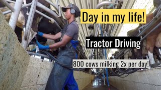 Life on a dairy farm 2022. Working Holiday Visa New Zealand