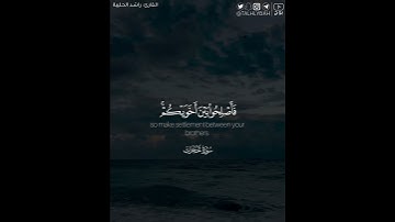 ﴿إنما المؤمنون إخوة فأصلحوا بين أخويكم واتقوا الله لعلكم ترحمون﴾ | القارئ: راشد الحليبة