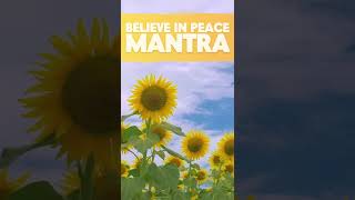 Believe in Peace Mantra 🌻 #shorts screenshot 4