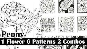 1 Flower 6 Patterns 2 Combinations || Zentangle Art Tutorial || Peony Flower
