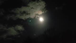 Super Blood Wolf Moon @ 8:25pm est