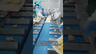 Semi-Automatic Belt Combination Weigher for Frozen Fruit & Meat | Kinetivus Automation