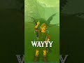 You Know You've Played TOO MUCH Zelda When... |Botw|