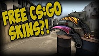 Csgodouble Hack Bot Script 85% Winrate Auto Bot