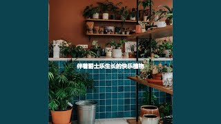 Scintillating Ambience for Wild Imaginations