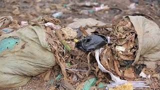 ZERO WASTE CAMPAIGN: Community Engagement, Portbell, Luzira Video