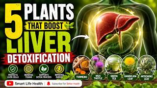 5 Plants That Naturally Support Liver Detoxification | Science-Backed Herbs for Better Liver Health