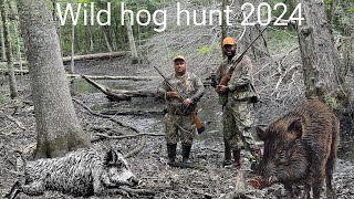 First Hog hunt of 2024 #god #hunting