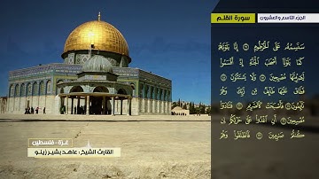 عاهد زينو سورة الملك الى سورة المرسلات
