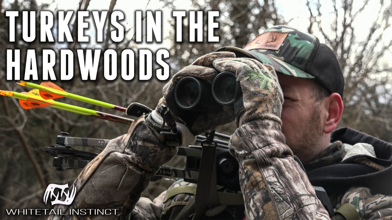 Bowhunting Turkeys in the Hardwoods | Nebraska Public Land