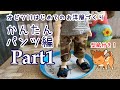 一緒につくろう！オビツ11かんたんパンツ【Part1】