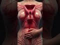 Heavy Periods? Here’s Why Your Bleeding Isn’t Normal