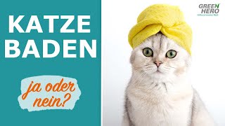 Katzen baden 🛀 Wann ist das sinnvoll?