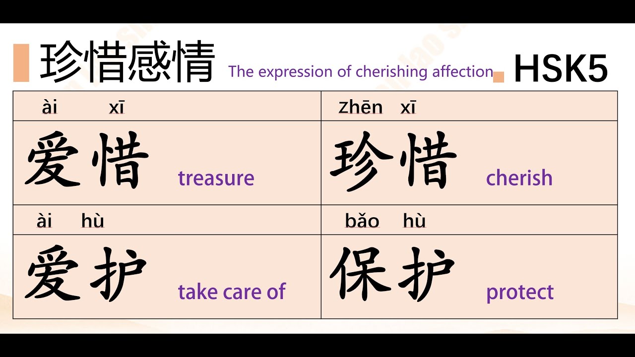 The expression of cherishing affection in Chinese :珍惜,爱惜,保护,爱护 - YouTube
