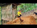 Building a chicken coop - Building a free life in the forest by self- reliance - Building life