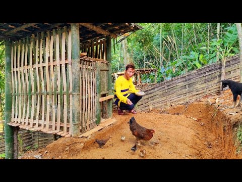 Building a chicken coop — Building a free life in the forest by self- reliance — Building life Building a chicken coop — Building a free life in the forest by self- reliance — Building life