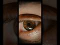 Human eye's is powerful than 576 megapixel #shorts #facts