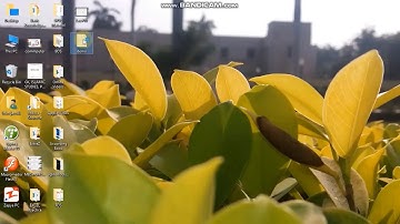 MS Excel in Sindhi language Lecture#11