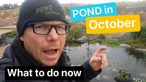 What to do with a POND in the AUTUMN / POND college October