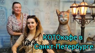 видео: Дворики Санкт-Петербурга. Котокафе, 30 кошек! И никто из них не хочет общаться с нами. Мия и Марина. картинка: Дворики Санкт-Петербурга. Котокафе, 30 кошек! И никто из них не хочет общаться с нами. Мия и Марина.