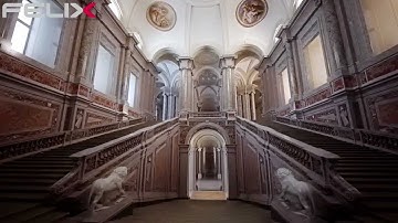 FELIX online rendering animations