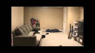 Count The Ninjas - Tshra