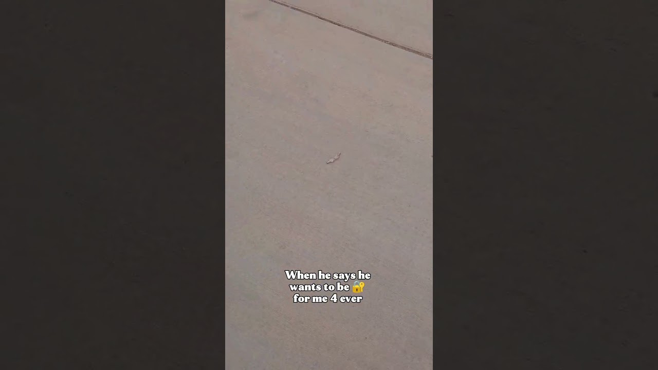 just call me genie 🧞‍♂️