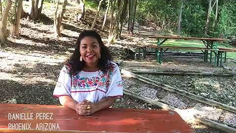 Chipstarter Submission video