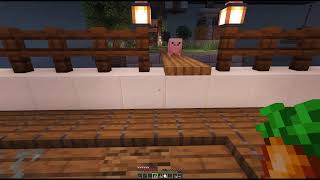Zincs Live stream