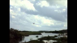 Drone Flight at Bulow Creek