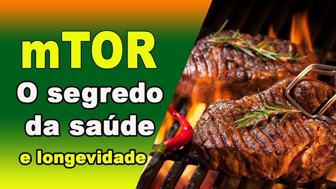 O segredo para a saúde tem um nome, mTOR