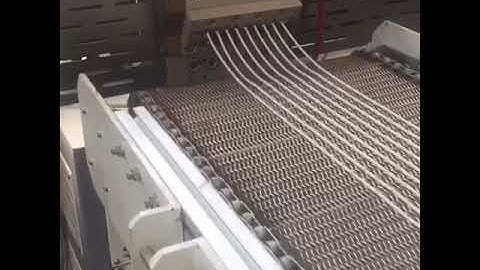 Twin Screw Extruder Application For Biodegradable Compounds