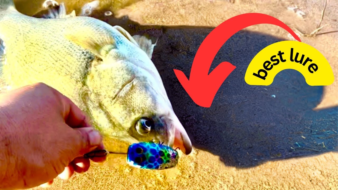 Yellowbelly Lure fishing madness YouTube