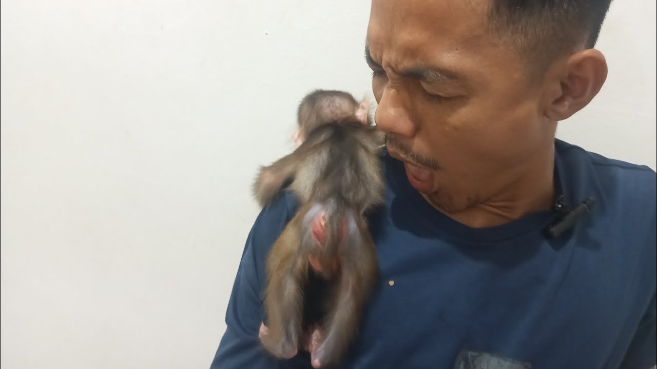 ЧТО‼️ Сегодня мои обезьянки очень сильно пахнут