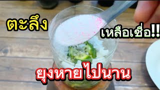 เหลือเชื่อแค่1นาทีวิธีไล่ยุงดีที่สุดมดแมลงจิ้งจกตุ๊กแกหายพืชผักงามพริกมะนาวดกไม่เหม็นควันแม่ก้อยพาทำ
