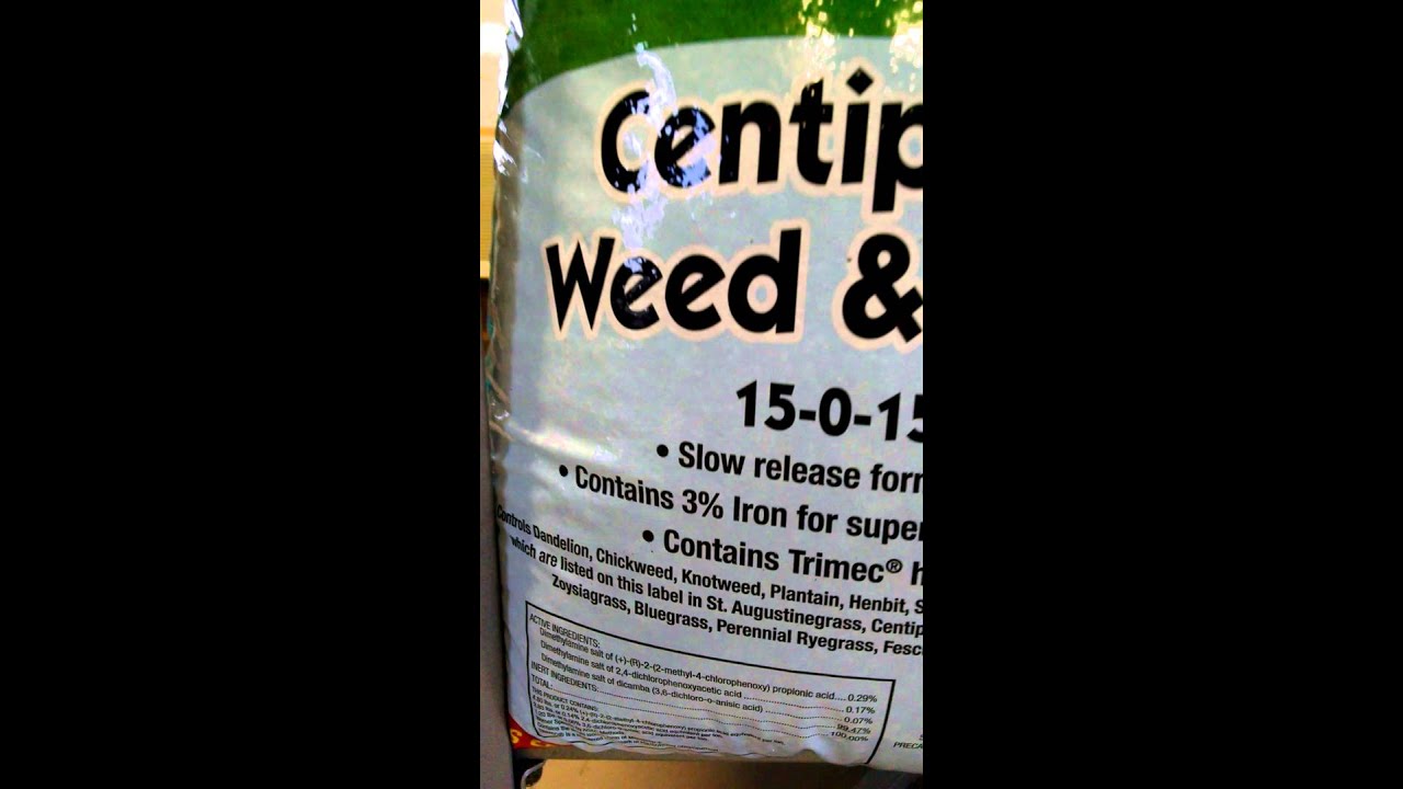 STOP AND WATCH THIS Before Fertilizing Centipede Grass YouTube