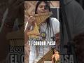 Leo Rojas • El Condor Pasa (Summer Version) | Native American Flute Live Performance #shorts