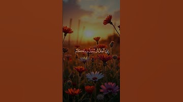 وقال فرعون ذروني اقتل موسى وليدع ربه | الشيخ خالد الجليل من سورة غافر