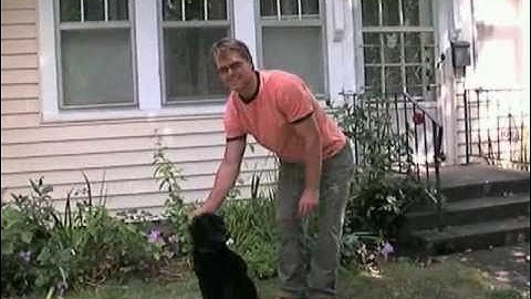 Leash-Along Demo Video