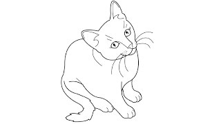 How to Draw a Cat / Как нарисовать кошку How to Draw a Cat / Как нарисовать кошку