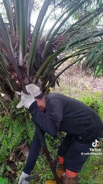gak semua bos yg menghargai pekerjaan karyawan