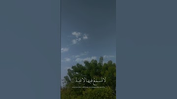 سورة الغاشية | عبدالرحمن مسعد #اكسبلور #لايك #راحة_نفسية