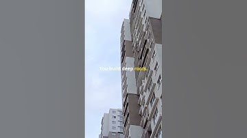 Deep Roots Masters of Foundation  #motivation #facts #motivationalquotes