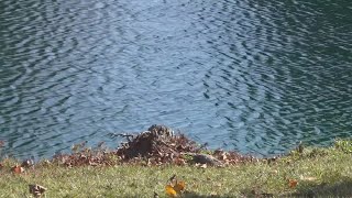 Columbus City Council looks to make retention ponds safer after several drownings