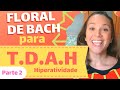 🌸 Florais para TDAH - Hiperatividade 🌸 Thaís Scapim