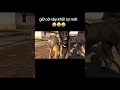 giữ cỡ này khỏi sợ mất #lũlụt #bãolụtmiềntrung #bão #cho #dog