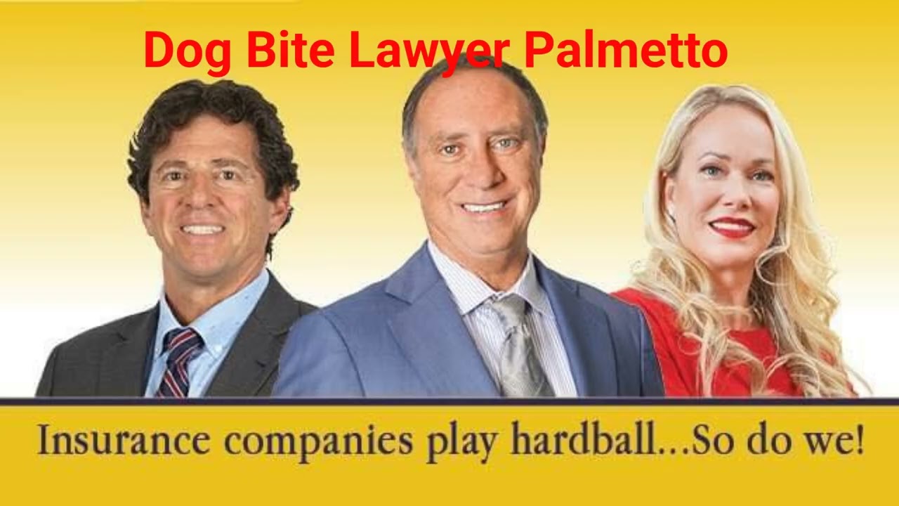 Hardball Law - Trusted Dog Bite Lawyer in Palmetto, FL