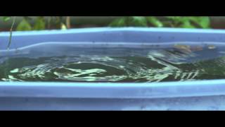 Red Epic camera Water at 300 fps Y N Pro