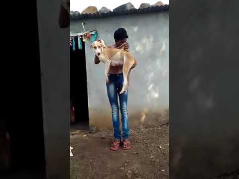 Mr Jatt Com