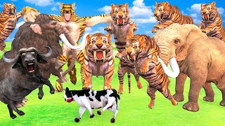 10 Giant Tiger Attack Cow Cartoon Buffalo Elephant Calf Save by Woolly Mammoth Elephant Vs Wolf